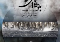 «بلوط‌های سپید»؛ روایت تصویری نادر فوقانی از یک فیلم سینمایی