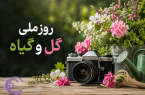 گل‌ها؛ تمرین دیدن زیبایی در عکاسی