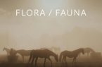 فراخوان نمایشگاه عکاسی Flora / Fauna با تمرکز بر گیاهان و حیاتوحش فراخوان نمایشگاه عکاسی Flora / Fauna با تمرکز بر گیاهان و حیاتوحش