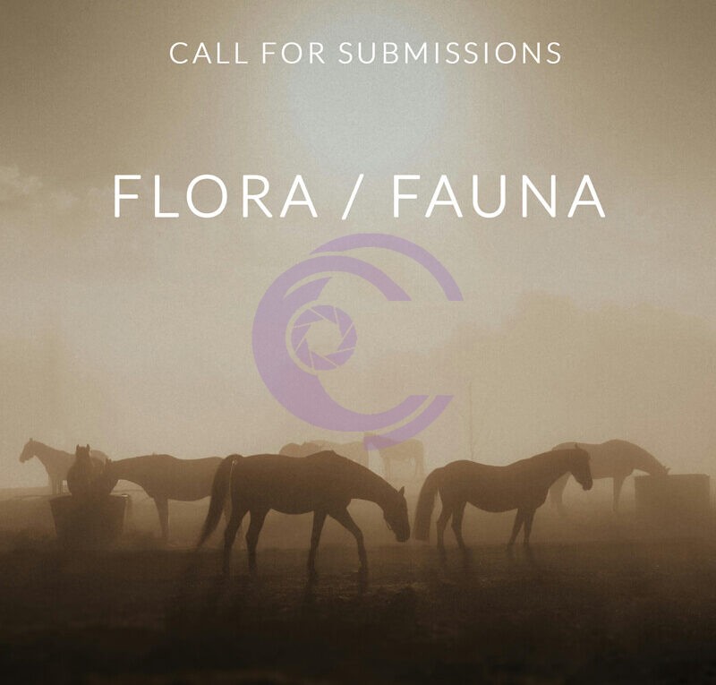 فراخوان نمایشگاه عکاسی Flora / Fauna با تمرکز بر گیاهان و حیاتوحش