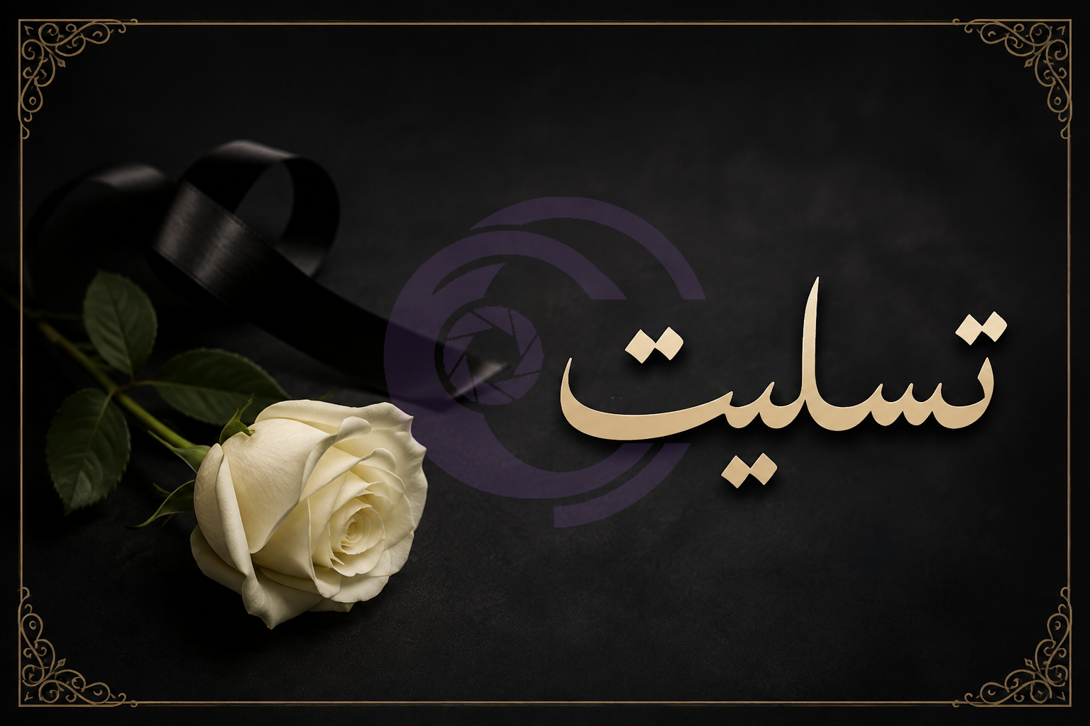 درگذشت مهدی توکلی، عکاس و مدیرعامل خانه عکاسان کردستان