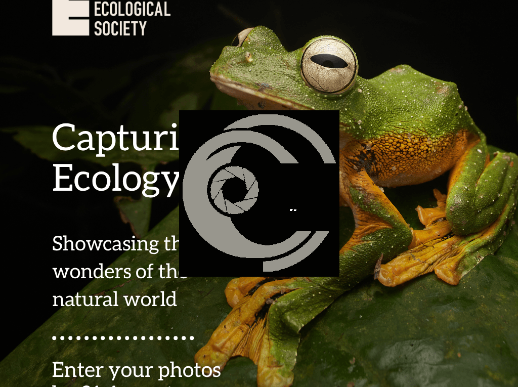 «Capturing Ecology»؛ فرصتی برای ثبت داستان‌های شگفت‌انگیز طبیعت و اکوسیستم‌ها