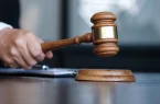 دادگاه آلمان: تبدیل عکس یک سگ به تصویر کمیک با هوش مصنوعی، لزوماً نقض حق مؤلف نیست