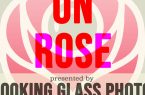 فراخوان بین‌المللی «On Rose»؛ مسابقه داوری‌شده عکاسی با نمایش آثار برگزیده در کالیفرنیا