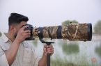 بنرو مینی‌مکس: بهترین تک‌پایه (Monopod) برای عکاسی از پرندگان