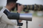 نقد و بررسی تخصصی دوربین دیده‌بانی GoBirding Vision Master: خداحافظی با حدس و گمان در عکاسی از پرندگان