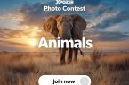 فراخوان مسابقه عکاسی حیوانات ایکسپوزر ۲۰۲۵ (Xpozer Animals Photo Contest)؛ فرصتی برای نمایش شکوه قلمرو وحش
