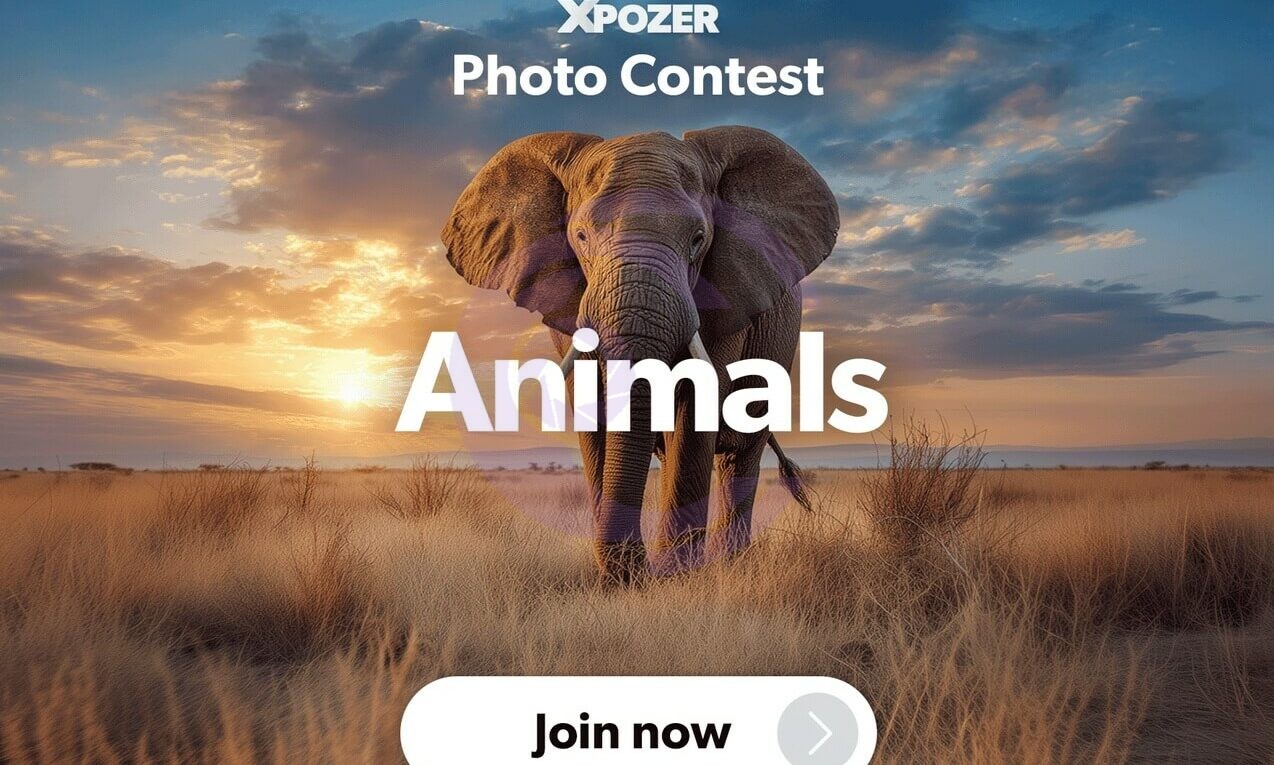 فراخوان مسابقه عکاسی حیوانات ایکسپوزر ۲۰۲۵ (Xpozer Animals Photo Contest)؛ فرصتی برای نمایش شکوه قلمرو وحش