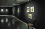 آمار صدور مجوز نگارخانه‌ها در سال ۱۴۰۵؛ افزودن ۳۰ نگارخانه جدید به مجموعه کشور