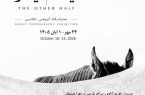 نمایشگاه عکس نیمه دیگر؛ مواجهه انسان و حیوان در نگارخانه بزم