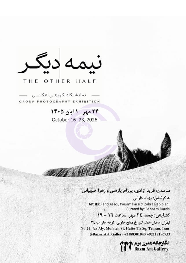 نمایشگاه عکس نیمه دیگر؛ مواجهه انسان و حیوان در نگارخانه بزم