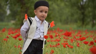 عکاس: سوفیا مجتهدزاده